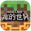我的世界